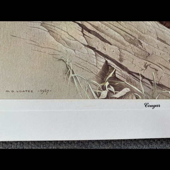 M.G. Loates prints, ca. 1967 - Picture 2 of 8